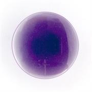 Opaque Shank 24, Lilac 16 mm
